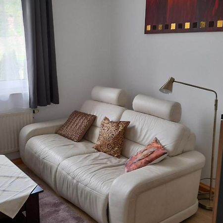 Ferienwohnung Christel Hirschhorn-Neckar מראה חיצוני תמונה