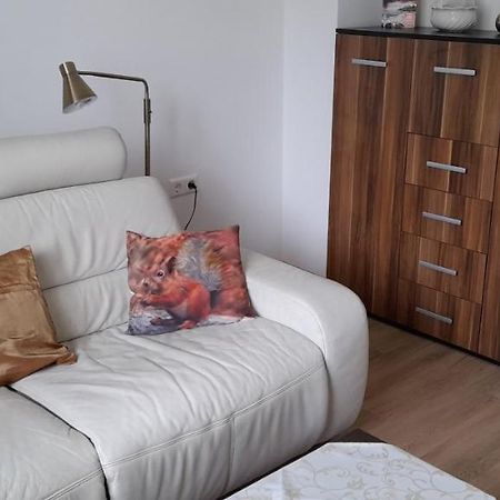 Ferienwohnung Christel Hirschhorn-Neckar מראה חיצוני תמונה