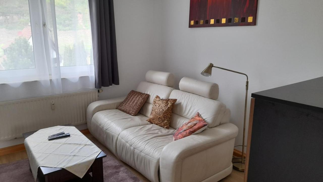 Ferienwohnung Christel Hirschhorn-Neckar מראה חיצוני תמונה
