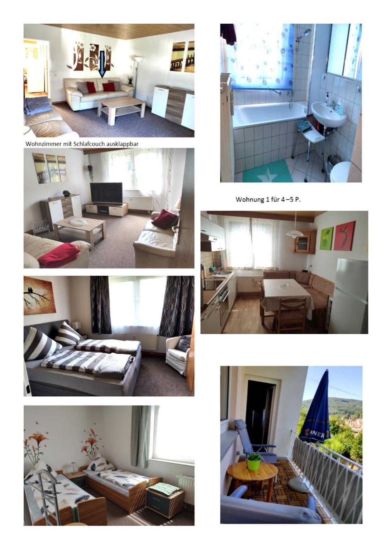 Ferienwohnung Christel Hirschhorn-Neckar מראה חיצוני תמונה